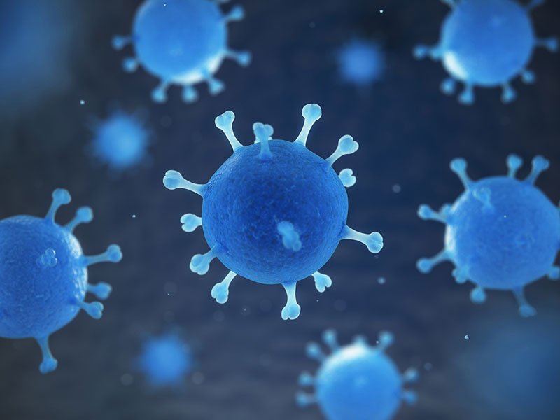 36e820f575e51c049495447811f64c44_1785129698_6345.jpg